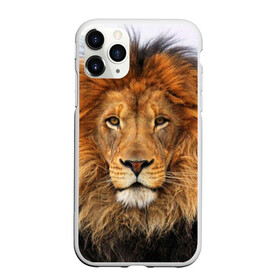 Чехол для iPhone 11 Pro матовый с принтом Красавец лев в Белгороде, Силикон |  | lion | грива | дикая кошка | добыча | животное | зверь | клыки | когти | король джунглей | лев | мясо | хищник | царь зверей