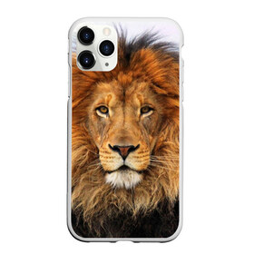 Чехол для iPhone 11 Pro Max матовый с принтом Красавец лев в Белгороде, Силикон |  | lion | грива | дикая кошка | добыча | животное | зверь | клыки | когти | король джунглей | лев | мясо | хищник | царь зверей