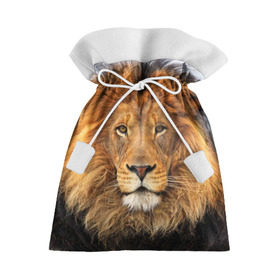 Подарочный 3D мешок с принтом Красавец лев в Белгороде, 100% полиэстер | Размер: 29*39 см | Тематика изображения на принте: lion | грива | дикая кошка | добыча | животное | зверь | клыки | когти | король джунглей | лев | мясо | хищник | царь зверей