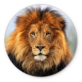 Коврик круглый с принтом Красавец лев в Белгороде, резина и полиэстер | круглая форма, изображение наносится на всю лицевую часть | lion | грива | дикая кошка | добыча | животное | зверь | клыки | когти | король джунглей | лев | мясо | хищник | царь зверей