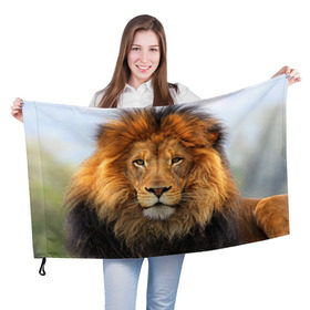 Флаг 3D с принтом Красавец лев в Белгороде, 100% полиэстер | плотность ткани — 95 г/м2, размер — 67 х 109 см. Принт наносится с одной стороны | Тематика изображения на принте: lion | грива | дикая кошка | добыча | животное | зверь | клыки | когти | король джунглей | лев | мясо | хищник | царь зверей