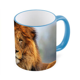Кружка 3D с принтом Красавец лев в Белгороде, керамика | ёмкость 330 мл | lion | грива | дикая кошка | добыча | животное | зверь | клыки | когти | король джунглей | лев | мясо | хищник | царь зверей