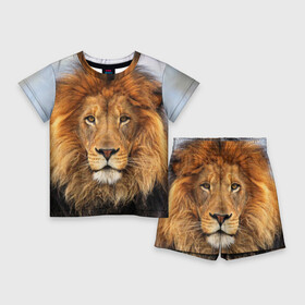 Детский костюм с шортами 3D с принтом Красавец лев в Белгороде,  |  | lion | грива | дикая кошка | добыча | животное | зверь | клыки | когти | король джунглей | лев | мясо | хищник | царь зверей
