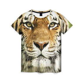 Женская футболка 3D с принтом Амурский тигр в Белгороде, 100% полиэфир ( синтетическое хлопкоподобное полотно) | прямой крой, круглый вырез горловины, длина до линии бедер | амурский | дикая кошка | добыча | животное | зверь | клыки | когти | мясо | тигр | уссурийский | хищник