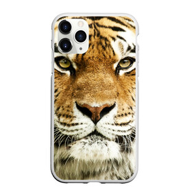 Чехол для iPhone 11 Pro матовый с принтом Амурский тигр в Белгороде, Силикон |  | Тематика изображения на принте: амурский | дикая кошка | добыча | животное | зверь | клыки | когти | мясо | тигр | уссурийский | хищник