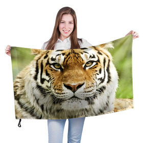 Флаг 3D с принтом Амурский тигр в Белгороде, 100% полиэстер | плотность ткани — 95 г/м2, размер — 67 х 109 см. Принт наносится с одной стороны | амурский | дикая кошка | добыча | животное | зверь | клыки | когти | мясо | тигр | уссурийский | хищник