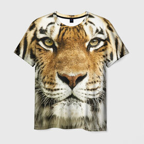 Мужская футболка 3D с принтом Амурский тигр в Белгороде, 100% полиэфир | прямой крой, круглый вырез горловины, длина до линии бедер | амурский | дикая кошка | добыча | животное | зверь | клыки | когти | мясо | тигр | уссурийский | хищник