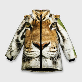 Зимняя куртка для девочек 3D с принтом Амурский тигр в Белгороде, ткань верха — 100% полиэстер; подклад — 100% полиэстер, утеплитель — 100% полиэстер. | длина ниже бедра, удлиненная спинка, воротник стойка и отстегивающийся капюшон. Есть боковые карманы с листочкой на кнопках, утяжки по низу изделия и внутренний карман на молнии. 

Предусмотрены светоотражающий принт на спинке, радужный светоотражающий элемент на пуллере молнии и на резинке для утяжки. | амурский | дикая кошка | добыча | животное | зверь | клыки | когти | мясо | тигр | уссурийский | хищник
