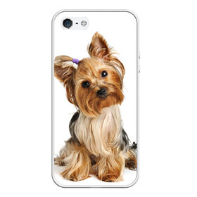 Чехол для iPhone 5/5S матовый с принтом Красотка в Белгороде, Силикон | Область печати: задняя сторона чехла, без боковых панелей | fashion | животное | красавица | лучший друг | модница | няша | причёска | собака | собачка | щенок | щеночек