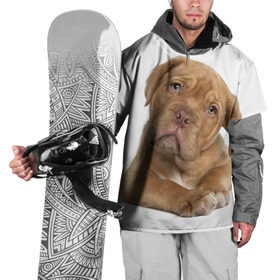 Накидка на куртку 3D с принтом Грустный щенок в Белгороде, 100% полиэстер |  | животное | лучший друг | милаха | няша | собака | собачка | щенок | щеночек