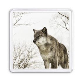 Магнит 55*55 с принтом Волк во весь рост в Белгороде, Пластик | Размер: 65*65 мм; Размер печати: 55*55 мм | волк | хищник