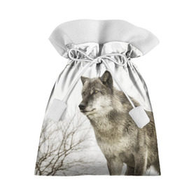 Подарочный 3D мешок с принтом Волк во весь рост в Белгороде, 100% полиэстер | Размер: 29*39 см | волк | хищник