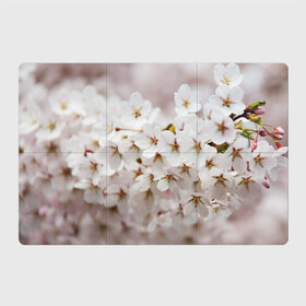 Магнитный плакат 3Х2 с принтом Весеннее цветение в Белгороде, Полимерный материал с магнитным слоем | 6 деталей размером 9*9 см | белый | весна | лепестки | прикольные картинки | цветочки | цветы