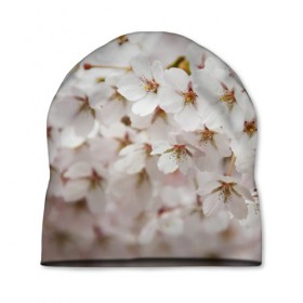 Шапка 3D с принтом Весеннее цветение в Белгороде, 100% полиэстер | универсальный размер, печать по всей поверхности изделия | белый | весна | лепестки | прикольные картинки | цветочки | цветы