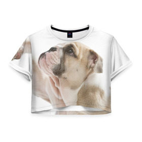 Женская футболка 3D укороченная с принтом Бульдог в Белгороде, 100% полиэстер | круглая горловина, длина футболки до линии талии, рукава с отворотами | бульдог | бульдоги | мопс | мопсы | песик | песики | собака | собаки