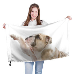 Флаг 3D с принтом Бульдог в Белгороде, 100% полиэстер | плотность ткани — 95 г/м2, размер — 67 х 109 см. Принт наносится с одной стороны | бульдог | бульдоги | мопс | мопсы | песик | песики | собака | собаки