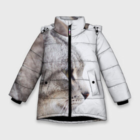 Зимняя куртка для девочек 3D с принтом Серый кот в Белгороде, ткань верха — 100% полиэстер; подклад — 100% полиэстер, утеплитель — 100% полиэстер. | длина ниже бедра, удлиненная спинка, воротник стойка и отстегивающийся капюшон. Есть боковые карманы с листочкой на кнопках, утяжки по низу изделия и внутренний карман на молнии. 

Предусмотрены светоотражающий принт на спинке, радужный светоотражающий элемент на пуллере молнии и на резинке для утяжки. | взгляд | глаза | голова животного | киска | кот | котёнок | кошка | прикольные картинки