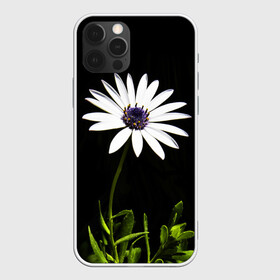 Чехол для iPhone 12 Pro с принтом Цветок счастья в Белгороде, силикон | область печати: задняя сторона чехла, без боковых панелей | лепестки | прикольные картинки | цветочки | цветы