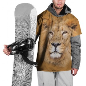 Накидка на куртку 3D с принтом Лев в Белгороде, 100% полиэстер |  | взгляд | животные | лев | природа | хищники