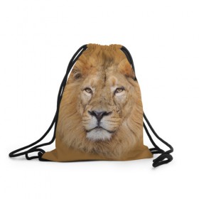 Рюкзак-мешок 3D с принтом Лев в Белгороде, 100% полиэстер | плотность ткани — 200 г/м2, размер — 35 х 45 см; лямки — толстые шнурки, застежка на шнуровке, без карманов и подкладки | взгляд | животные | лев | природа | хищники
