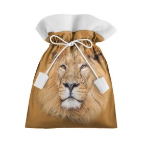 Подарочный 3D мешок с принтом Лев в Белгороде, 100% полиэстер | Размер: 29*39 см | взгляд | животные | лев | природа | хищники
