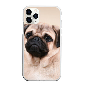 Чехол для iPhone 11 Pro матовый с принтом Мопс в Белгороде, Силикон |  | мопс | мопсы | песик | песики | собака | собаки