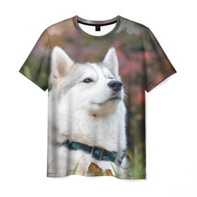 Мужская футболка 3D с принтом Хаски в Белгороде, 100% полиэфир | прямой крой, круглый вырез горловины, длина до линии бедер | лайка | маламут | песик | песики | собака | собаки | хаски