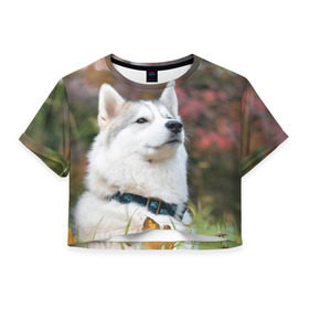 Женская футболка 3D укороченная с принтом Хаски в Белгороде, 100% полиэстер | круглая горловина, длина футболки до линии талии, рукава с отворотами | лайка | маламут | песик | песики | собака | собаки | хаски