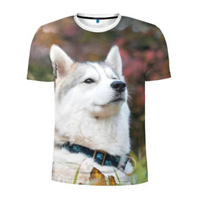 Мужская футболка 3D спортивная с принтом Хаски в Белгороде, 100% полиэстер с улучшенными характеристиками | приталенный силуэт, круглая горловина, широкие плечи, сужается к линии бедра | лайка | маламут | песик | песики | собака | собаки | хаски