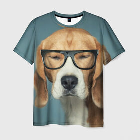 Мужская футболка 3D с принтом Бигль в Белгороде, 100% полиэфир | прямой крой, круглый вырез горловины, длина до линии бедер | бигль | гончая | дворняжка | охотничья | песик | песики | собака | собаки