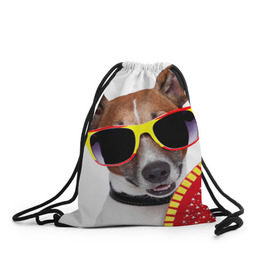 Рюкзак-мешок 3D с принтом Джек Рассел с веером в Белгороде, 100% полиэстер | плотность ткани — 200 г/м2, размер — 35 х 45 см; лямки — толстые шнурки, застежка на шнуровке, без карманов и подкладки | джек рассел | песик | песики | собака | собаки | терьер