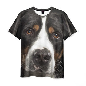 Мужская футболка 3D с принтом Зенненхунд в Белгороде, 100% полиэфир | прямой крой, круглый вырез горловины, длина до линии бедер | большая собака | зенненхунд | пес | песик | сенбернар | собака | собаки