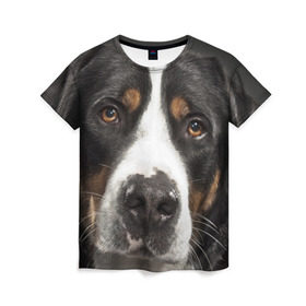 Женская футболка 3D с принтом Зенненхунд в Белгороде, 100% полиэфир ( синтетическое хлопкоподобное полотно) | прямой крой, круглый вырез горловины, длина до линии бедер | большая собака | зенненхунд | пес | песик | сенбернар | собака | собаки