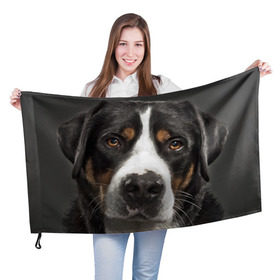 Флаг 3D с принтом Зенненхунд в Белгороде, 100% полиэстер | плотность ткани — 95 г/м2, размер — 67 х 109 см. Принт наносится с одной стороны | большая собака | зенненхунд | пес | песик | сенбернар | собака | собаки