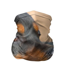 Бандана-труба 3D с принтом Ротвейлер в Белгороде, 100% полиэстер, ткань с особыми свойствами — Activecool | плотность 150‒180 г/м2; хорошо тянется, но сохраняет форму | большая | пес | песик | псина | ротвейлер | ротвейлеры | собака | собаки