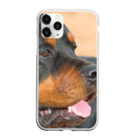 Чехол для iPhone 11 Pro матовый с принтом Ротвейлер в Белгороде, Силикон |  | большая | пес | песик | псина | ротвейлер | ротвейлеры | собака | собаки
