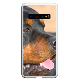 Чехол для Samsung Galaxy S10 с принтом Ротвейлер в Белгороде, Силикон | Область печати: задняя сторона чехла, без боковых панелей | большая | пес | песик | псина | ротвейлер | ротвейлеры | собака | собаки