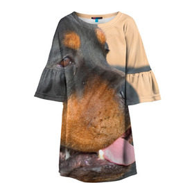 Детское платье 3D с принтом Ротвейлер в Белгороде, 100% полиэстер | прямой силуэт, чуть расширенный к низу. Круглая горловина, на рукавах — воланы | Тематика изображения на принте: большая | пес | песик | псина | ротвейлер | ротвейлеры | собака | собаки