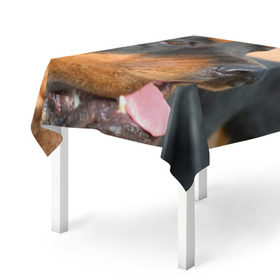 Скатерть 3D с принтом Ротвейлер в Белгороде, 100% полиэстер (ткань не мнется и не растягивается) | Размер: 150*150 см | большая | пес | песик | псина | ротвейлер | ротвейлеры | собака | собаки