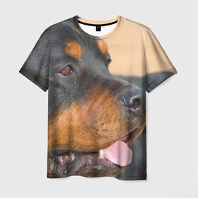 Мужская футболка 3D с принтом Ротвейлер в Белгороде, 100% полиэфир | прямой крой, круглый вырез горловины, длина до линии бедер | большая | пес | песик | псина | ротвейлер | ротвейлеры | собака | собаки