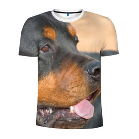 Мужская футболка 3D спортивная с принтом Ротвейлер в Белгороде, 100% полиэстер с улучшенными характеристиками | приталенный силуэт, круглая горловина, широкие плечи, сужается к линии бедра | большая | пес | песик | псина | ротвейлер | ротвейлеры | собака | собаки