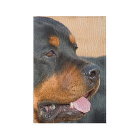 Обложка для паспорта матовая кожа с принтом Ротвейлер в Белгороде, натуральная матовая кожа | размер 19,3 х 13,7 см; прозрачные пластиковые крепления | большая | пес | песик | псина | ротвейлер | ротвейлеры | собака | собаки