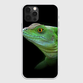 Чехол для iPhone 12 Pro Max с принтом Рептилоид в Белгороде, Силикон |  | о.м.с.к. | природа | ящерица