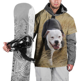 Накидка на куртку 3D с принтом Пит-буль на траве в Белгороде, 100% полиэстер |  | амстафф | буль | пес | песик | питбули | питбуль | собака | собаки | стафф | терьер