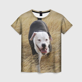 Женская футболка 3D с принтом Пит-буль на траве в Белгороде, 100% полиэфир ( синтетическое хлопкоподобное полотно) | прямой крой, круглый вырез горловины, длина до линии бедер | амстафф | буль | пес | песик | питбули | питбуль | собака | собаки | стафф | терьер