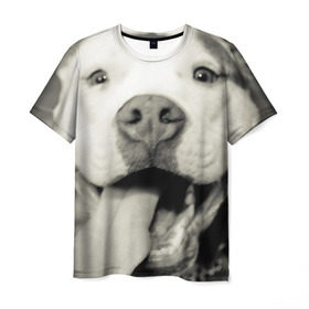 Мужская футболка 3D с принтом Пит-буль в Белгороде, 100% полиэфир | прямой крой, круглый вырез горловины, длина до линии бедер | Тематика изображения на принте: амстафф | буль | пес | песик | питбули | питбуль | собака | собаки | стафф | терьер