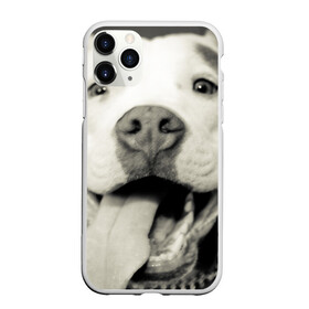 Чехол для iPhone 11 Pro матовый с принтом Пит-буль в Белгороде, Силикон |  | амстафф | буль | пес | песик | питбули | питбуль | собака | собаки | стафф | терьер