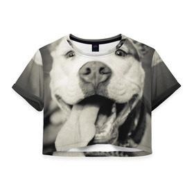 Женская футболка 3D укороченная с принтом Пит-буль в Белгороде, 100% полиэстер | круглая горловина, длина футболки до линии талии, рукава с отворотами | амстафф | буль | пес | песик | питбули | питбуль | собака | собаки | стафф | терьер