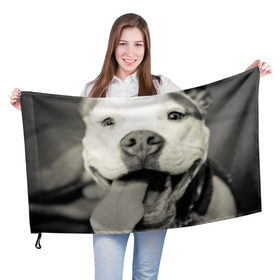 Флаг 3D с принтом Пит-буль в Белгороде, 100% полиэстер | плотность ткани — 95 г/м2, размер — 67 х 109 см. Принт наносится с одной стороны | Тематика изображения на принте: амстафф | буль | пес | песик | питбули | питбуль | собака | собаки | стафф | терьер