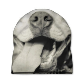 Шапка 3D с принтом Пит-буль в Белгороде, 100% полиэстер | универсальный размер, печать по всей поверхности изделия | Тематика изображения на принте: амстафф | буль | пес | песик | питбули | питбуль | собака | собаки | стафф | терьер